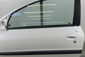 Porte avant gauche PEUGEOT 206 Photo n°1
