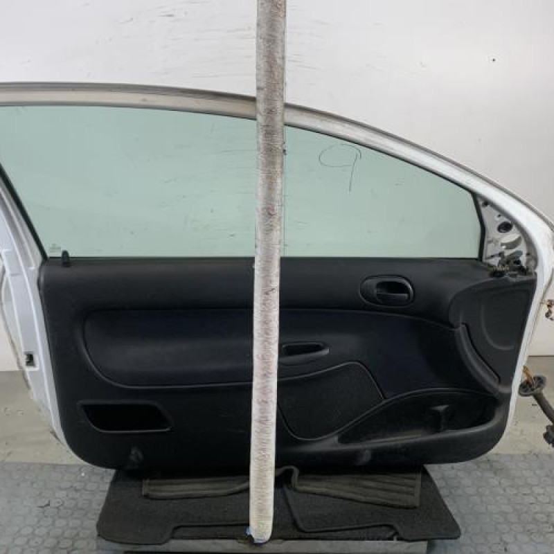 Porte avant gauche PEUGEOT 206 Photo n°3