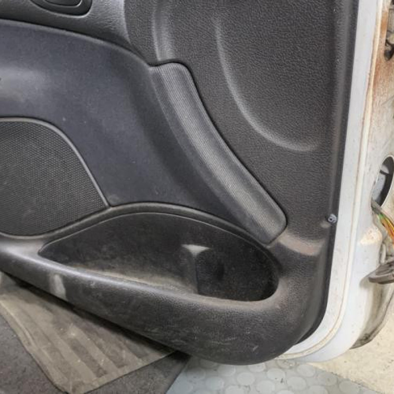 Porte avant gauche PEUGEOT 206 Photo n°5