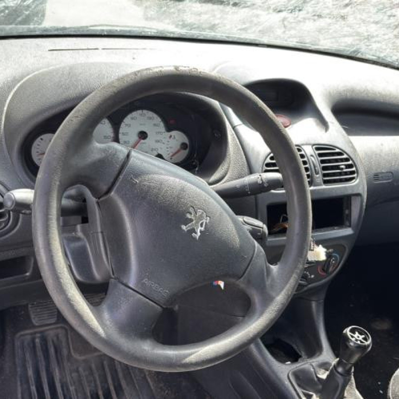 Porte avant gauche PEUGEOT 206 Photo n°17