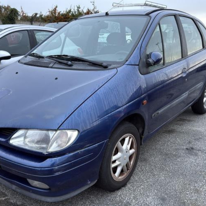 Bouton de warning RENAULT SCENIC 1 Photo n°4