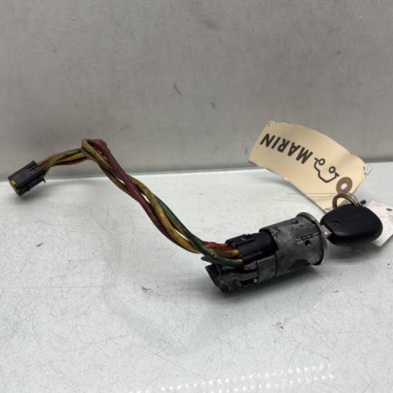 Neiman RENAULT SCENIC 1 Photo n°1