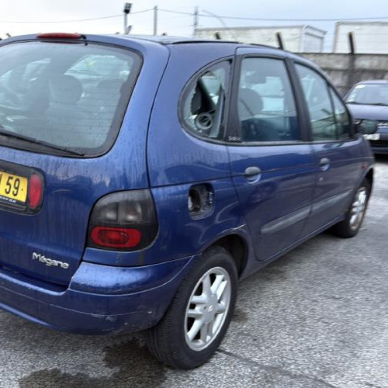 Neiman RENAULT SCENIC 1 Photo n°6