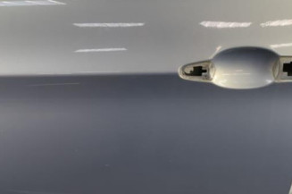 Porte avant gauche BMW SERIE 3 E90