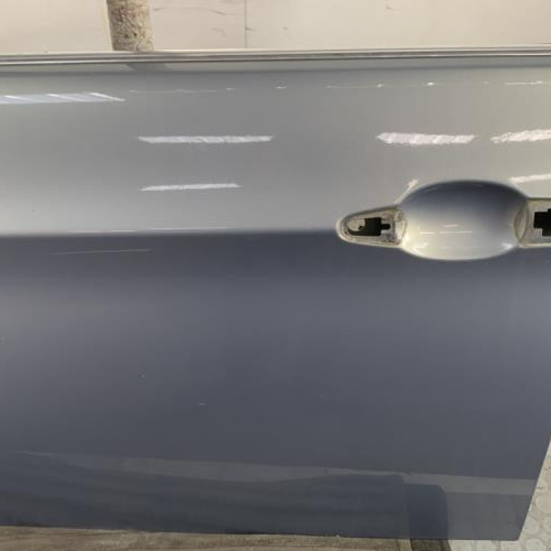 Porte avant gauche BMW SERIE 3 E90 Photo n°3