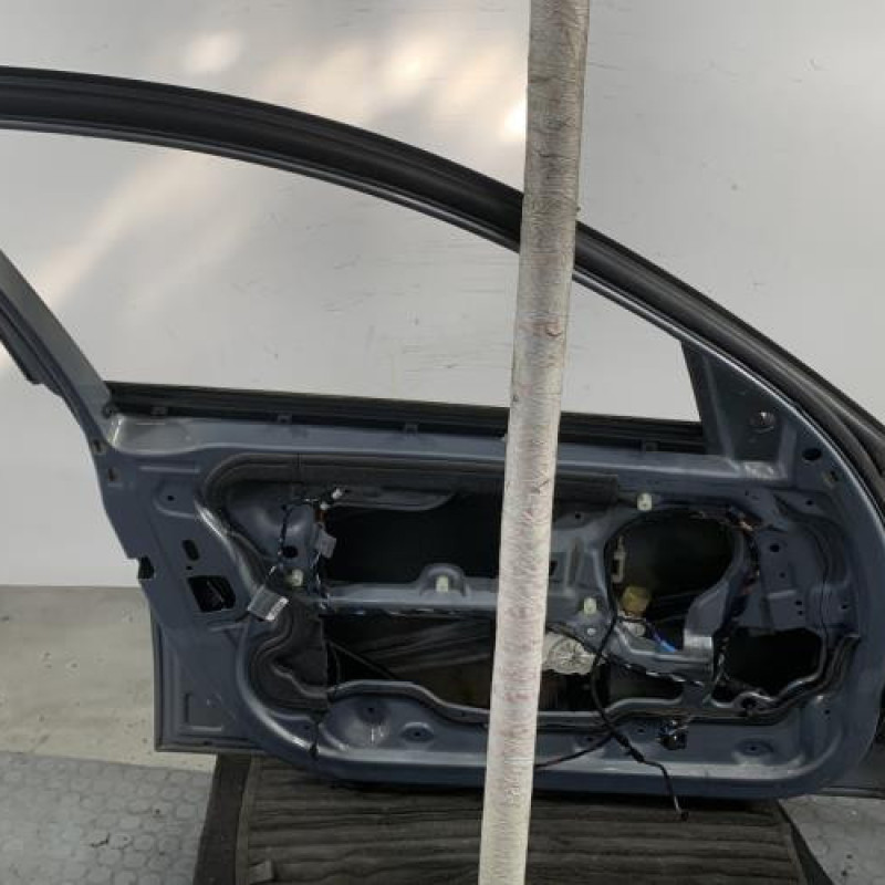 Porte avant gauche BMW SERIE 3 E90 Photo n°4