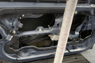 Porte avant gauche BMW SERIE 3 E90