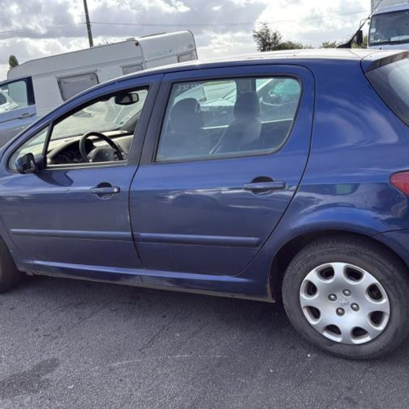 Repetiteur clignotant avant droit  (Feux) PEUGEOT 307 Photo n°10