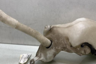 Vase de lave glace PEUGEOT 307