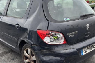 Vase de lave glace PEUGEOT 307