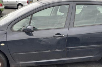 Vase de lave glace PEUGEOT 307