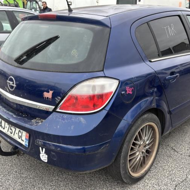 Pedale d'accelerateur OPEL ASTRA H Photo n°3