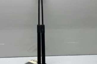 Verin de coffre RENAULT KADJAR