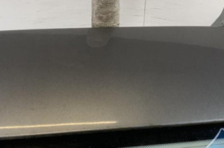 Malle/Hayon arriere BMW SERIE 5 E61