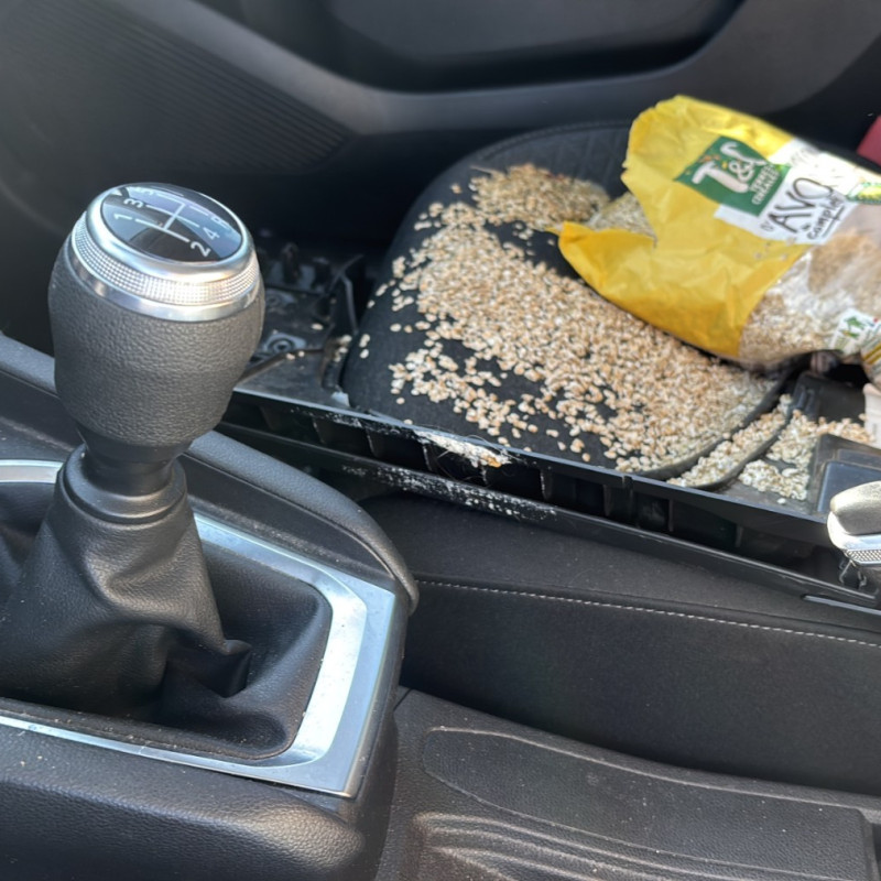 RENAULT CLIO 5 PHASE 1 1.0i - 12V SCE 65 Photo n°21