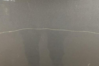 Porte avant gauche BMW SERIE 5 E61