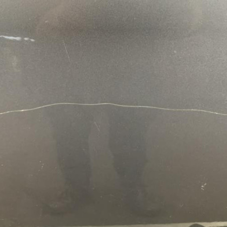 Porte avant gauche BMW SERIE 5 E61