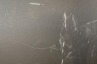 Porte avant gauche BMW SERIE 5 E61