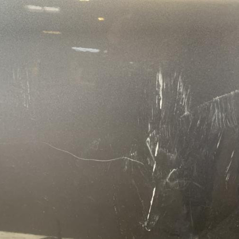 Porte avant gauche BMW SERIE 5 E61 Photo n°3