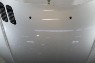 Capot PEUGEOT 206 Photo n°1