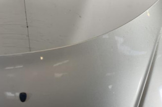 Capot PEUGEOT 206