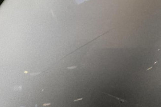 Porte arriere droit PEUGEOT 206