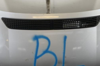 Capot VOLKSWAGEN CRAFTER 1 Photo n°1