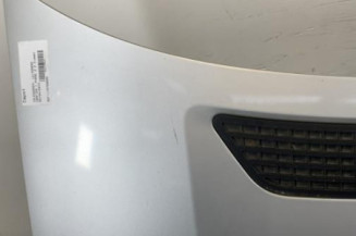 Capot VOLKSWAGEN CRAFTER 1