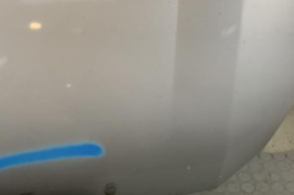 Capot VOLKSWAGEN CRAFTER 1