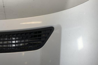 Capot VOLKSWAGEN CRAFTER 1