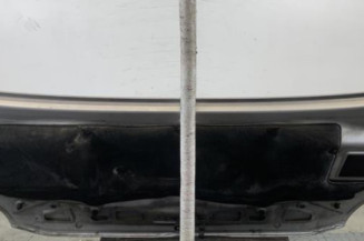 Capot VOLKSWAGEN CRAFTER 1