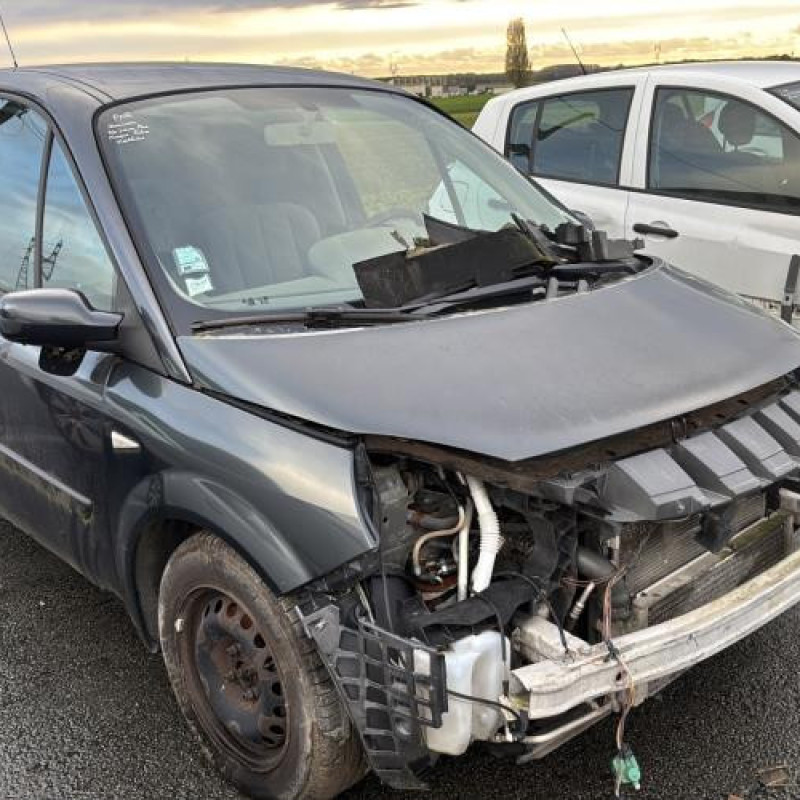 Poignee porte arriere gauche RENAULT SCENIC 2 Photo n°6