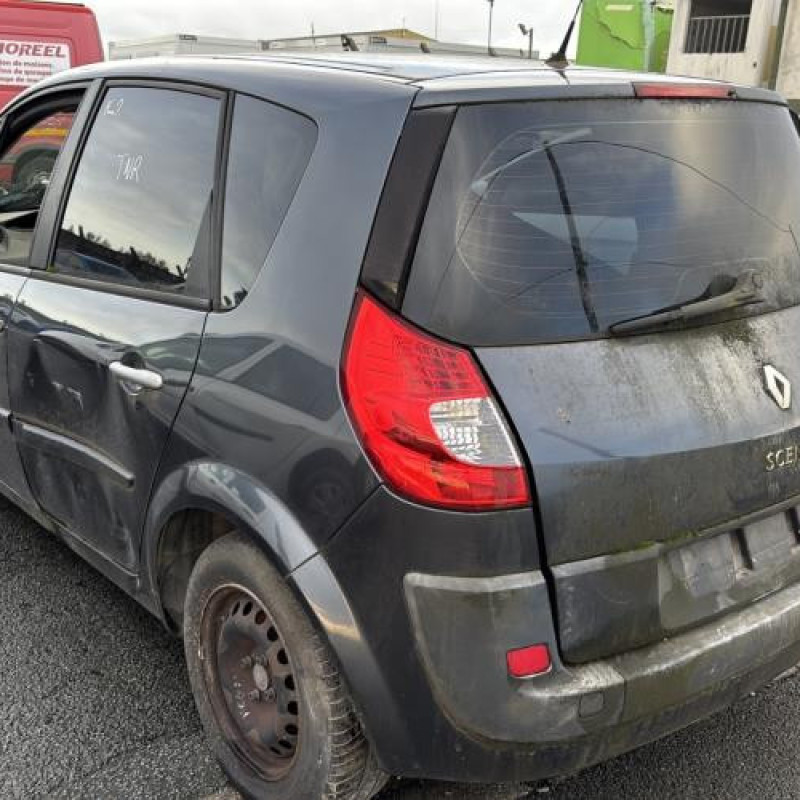 Poignee porte arriere gauche RENAULT SCENIC 2 Photo n°8