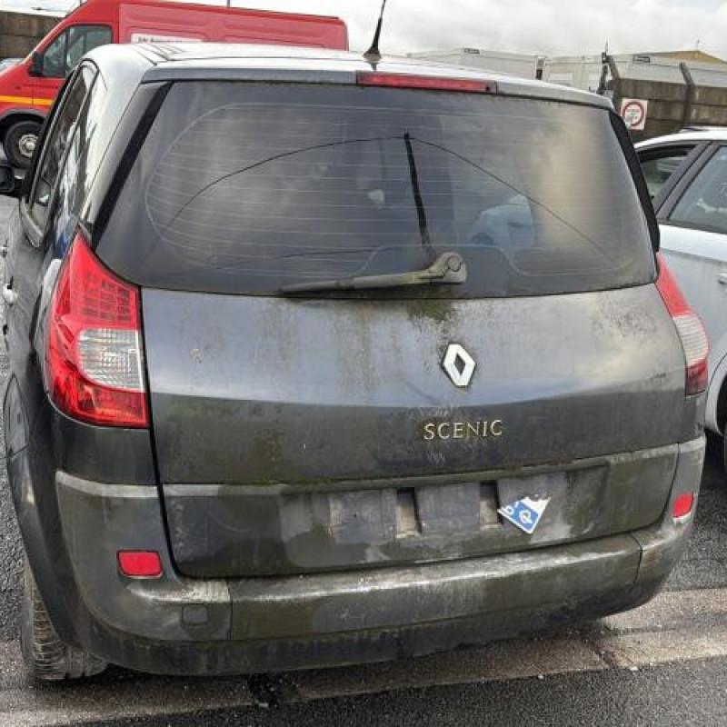 Poignee porte arriere gauche RENAULT SCENIC 2 Photo n°9