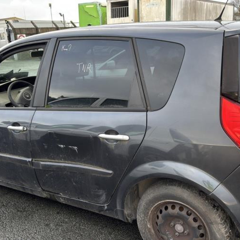 Poignee porte arriere gauche RENAULT SCENIC 2 Photo n°10