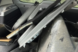 Poignee porte arriere gauche RENAULT SCENIC 2