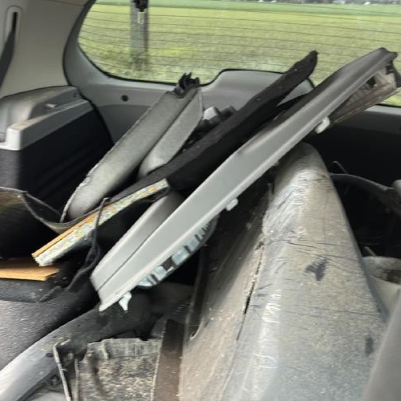 Poignee porte arriere gauche RENAULT SCENIC 2 Photo n°14