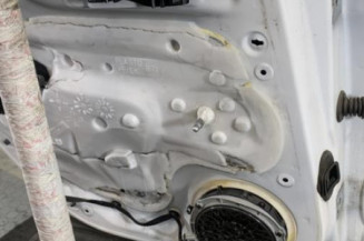 Porte arriere gauche CITROEN C4 2