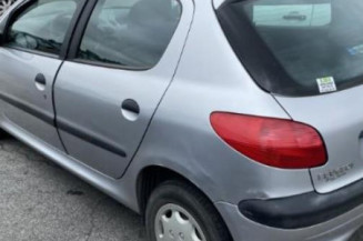 Neiman PEUGEOT 206
