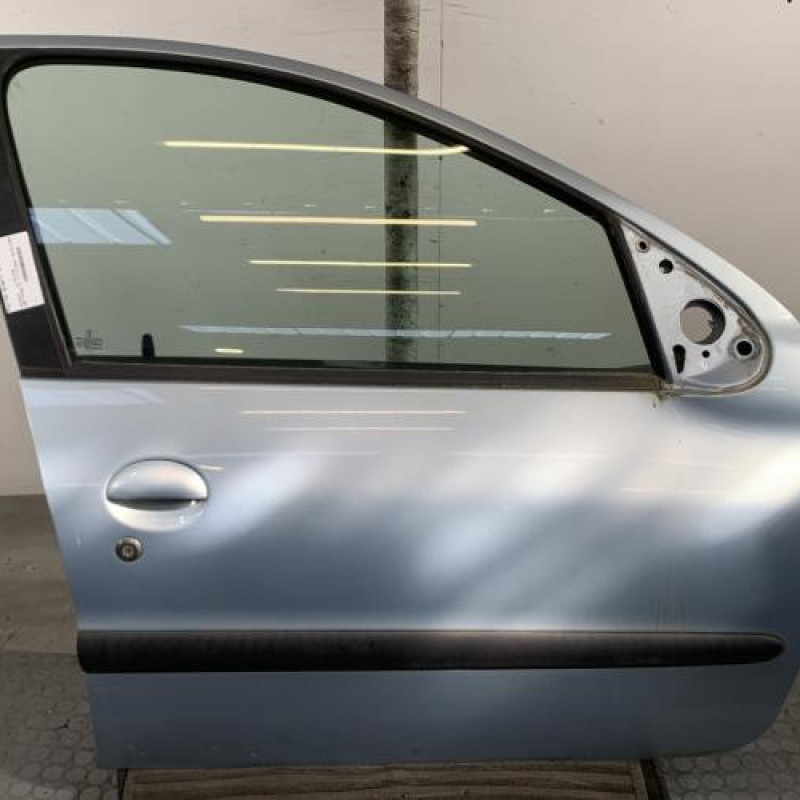 Porte avant droit PEUGEOT 206 Photo n°1