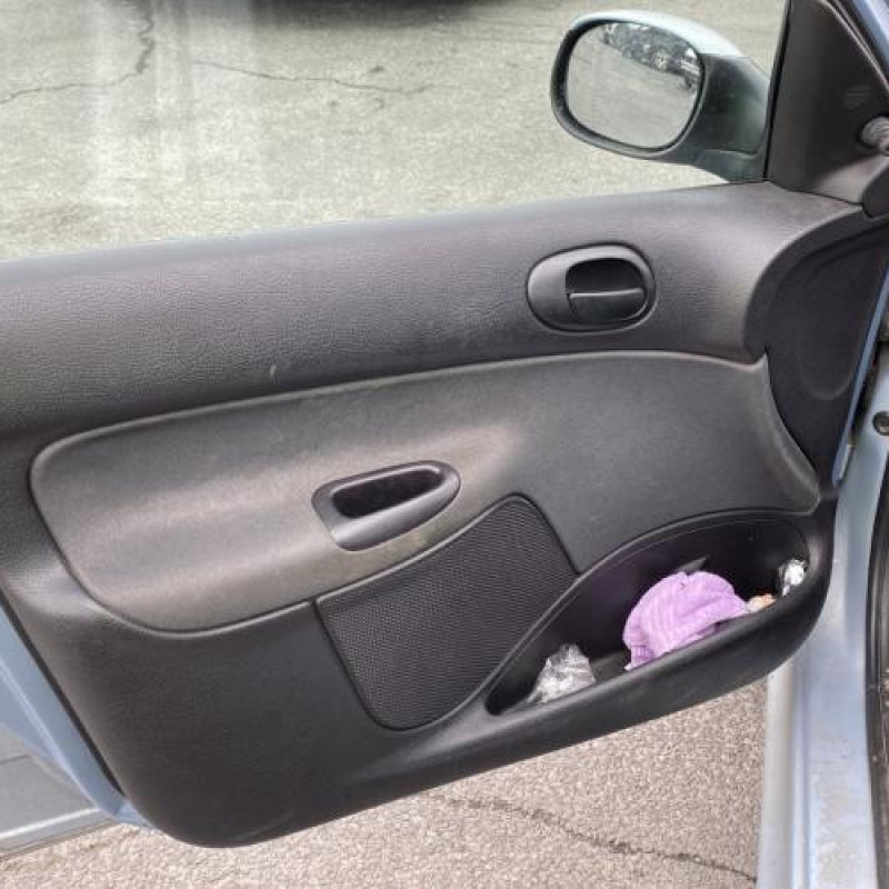 Porte avant droit PEUGEOT 206 Photo n°14
