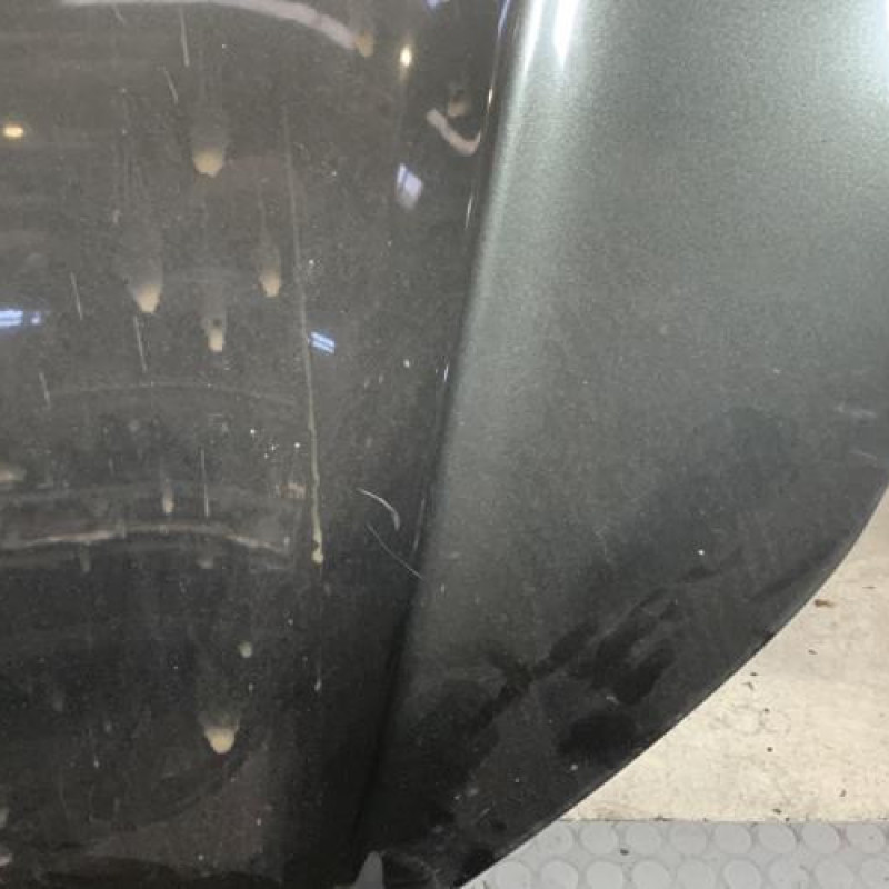 Capot CITROEN C5 2 Photo n°7