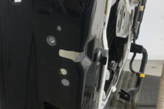 Porte avant gauche PEUGEOT 208 1