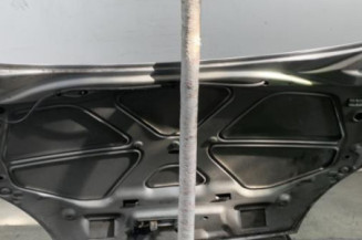 Capot RENAULT CLIO 2 CAMPUS