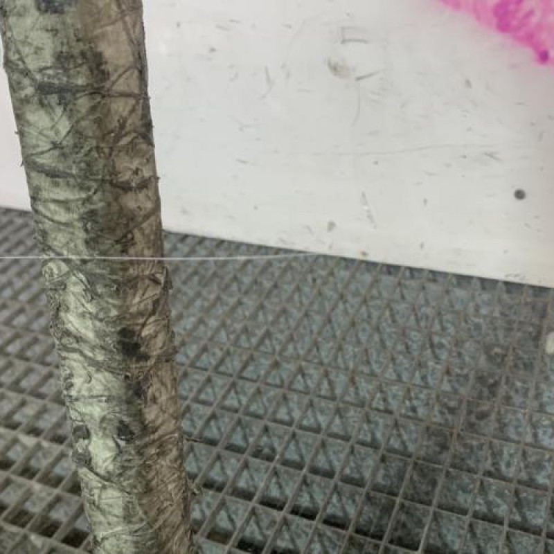 Vitre avant gauche MERCEDES CLASSE C 204 Photo n°4