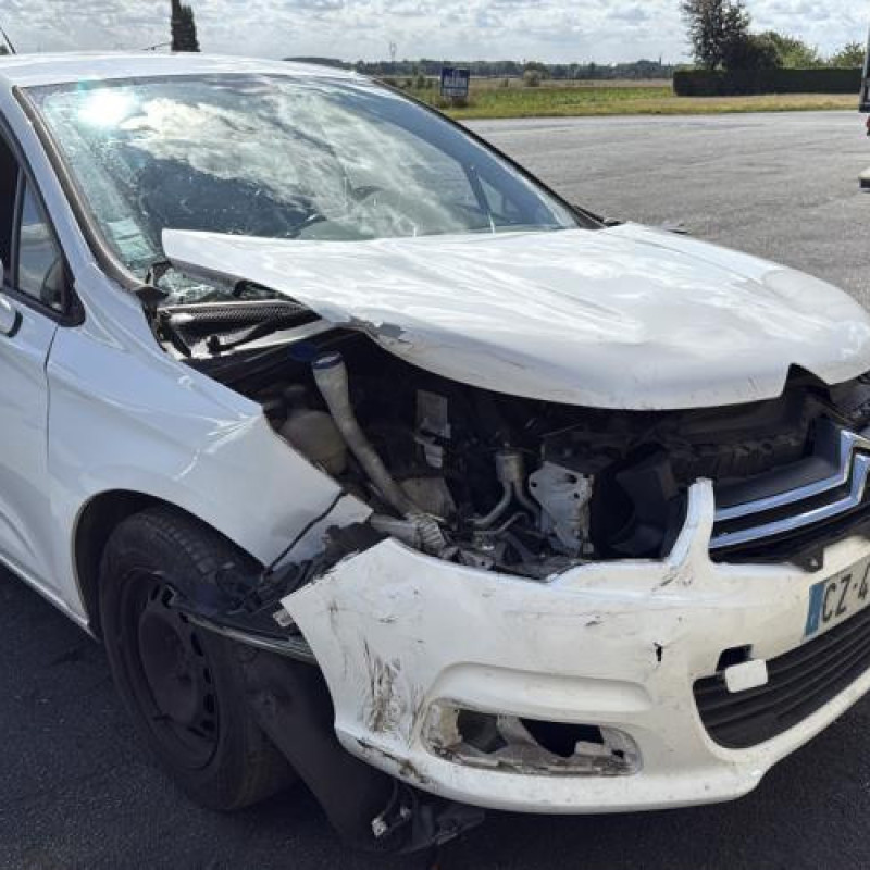 Custode arriere gauche CITROEN C4 2 Photo n°10