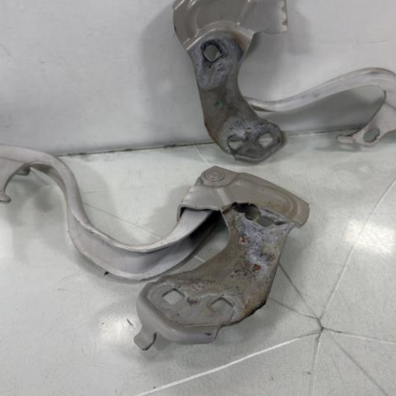 Charniere de capot FIAT 500 2 Photo n°2