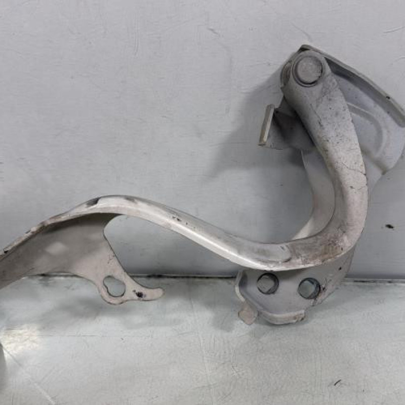 Charniere de capot FIAT 500 2 Photo n°3