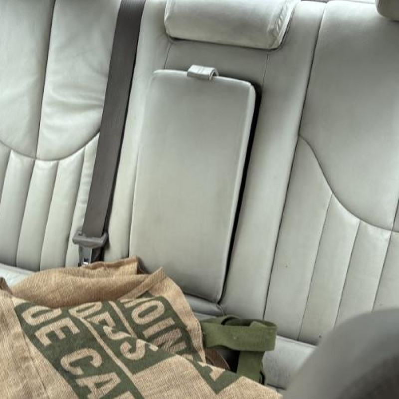 Custode arriere droit (porte) JAGUAR S-TYPE Photo n°14