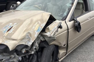 Custode arriere gauche (porte) JAGUAR S-TYPE